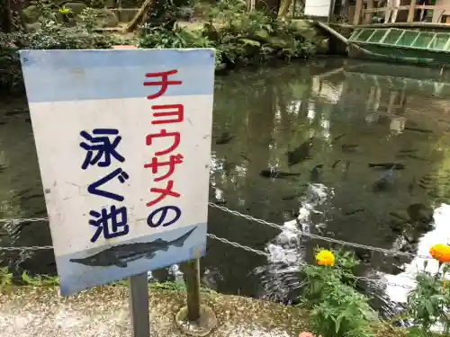 川上神社の庭園