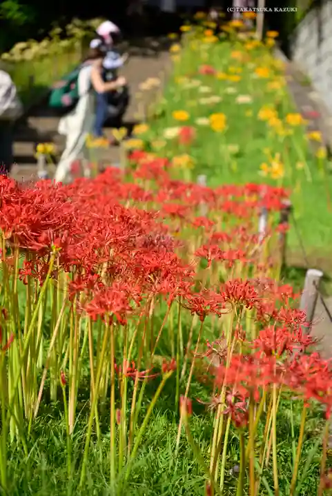 横浜 西方寺(神奈川県)
