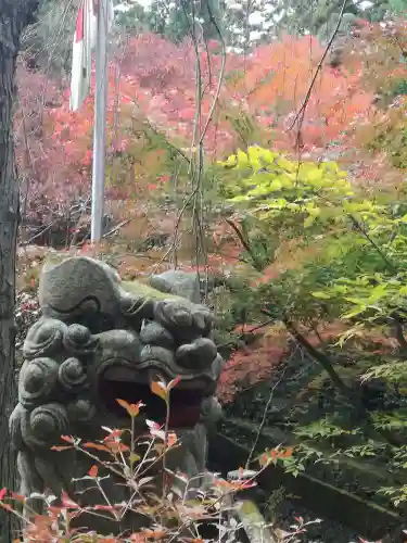 五所駒瀧神社の狛犬