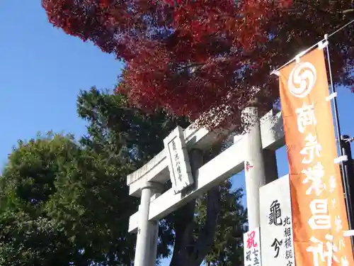 亀ケ池八幡宮の鳥居