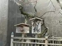 太宰府天満宮の{uncategorized: "未分類", other: "その他", undefined: "問題あり", building: "その他建物", grave: "お墓", sacred_gate: "鳥居", guardian: "狛犬", statue: "像", buddha: "仏像", history: "歴史", nature: "自然", garden: "庭園", animal: "動物", pagoda: "塔", temizu: "手水舎", mountain_gate: "山門・神門", sanctuary: "本殿・本堂", subordinate: "末社・摂社", art: "芸術", scenery: "景色", jizo: "地蔵", ema: "絵馬", goshuin: "御朱印", omikuji: "おみくじ", items: "授与品その他", amulet: "お守り", goshuincho: "御朱印帳", eats: "食事", festival: "お祭り", votive_dance: "神楽", shichigosan: "七五三参", wedding: "結婚式", experience: "体験その他", initially: "初詣", around: "周辺", anti_infection: "感染症対策"}