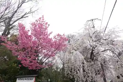 平野神社(京都府)