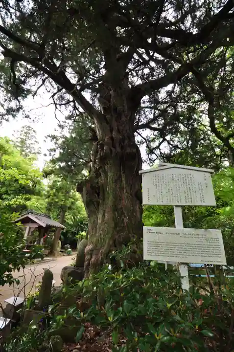 浄瑠璃寺(愛媛県)