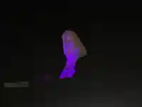 大船観音寺(神奈川県)