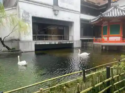 頂法寺（六角堂）の{uncategorized: "未分類", other: "その他", undefined: "問題あり", building: "その他建物", grave: "お墓", sacred_gate: "鳥居", guardian: "狛犬", statue: "像", buddha: "仏像", history: "歴史", nature: "自然", garden: "庭園", animal: "動物", pagoda: "塔", temizu: "手水舎", mountain_gate: "山門・神門", sanctuary: "本殿・本堂", subordinate: "末社・摂社", art: "芸術", scenery: "景色", jizo: "地蔵", ema: "絵馬", goshuin: "御朱印", omikuji: "おみくじ", items: "授与品その他", amulet: "お守り", goshuincho: "御朱印帳", eats: "食事", festival: "お祭り", votive_dance: "神楽", shichigosan: "七五三参", wedding: "結婚式", experience: "体験その他", initially: "初詣", around: "周辺", anti_infection: "感染症対策"}