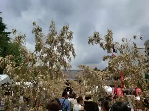 浅草神社のお祭り
