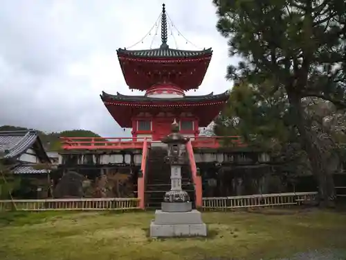 大覚寺(京都府)