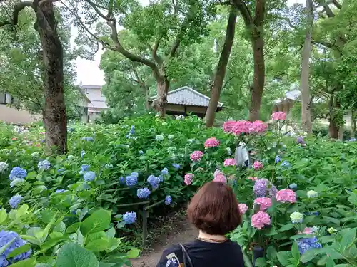 藤森神社の庭園