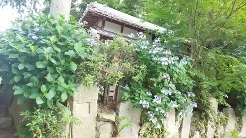 稗田野神社(薭田野神社)の自然
