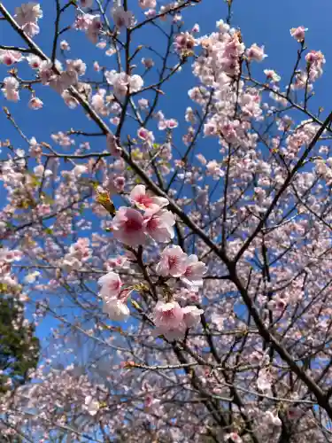 氷川女體神社(埼玉県)