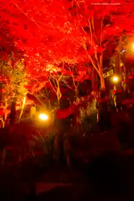 大山寺(神奈川県)