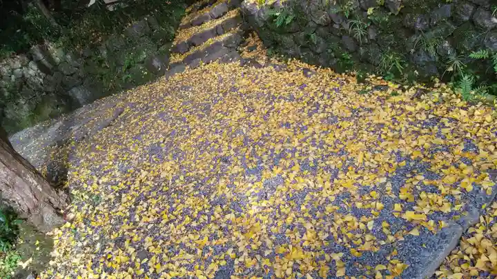 出雲大神宮の自然