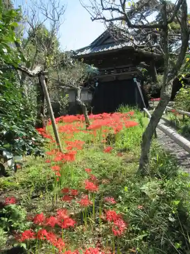 英勝寺の庭園