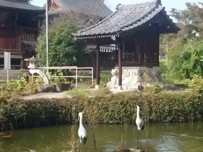 宗像神社(埼玉県)