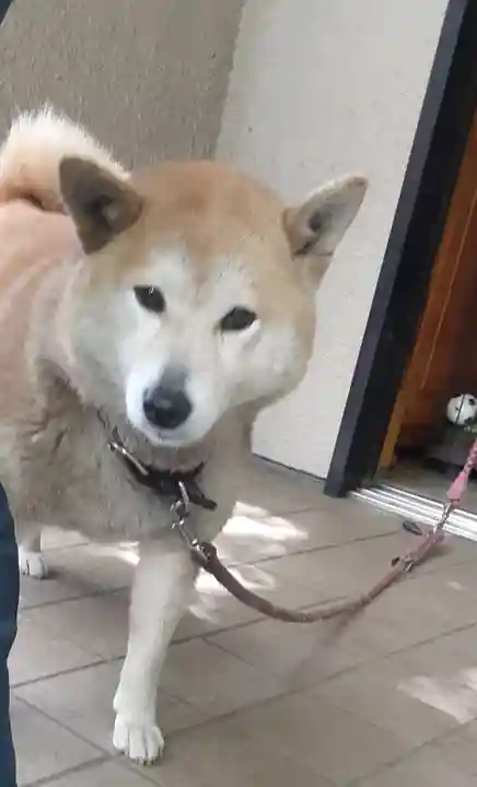 笠䅣稲荷神社(神奈川県)