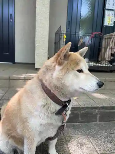 笠䅣稲荷神社(神奈川県)