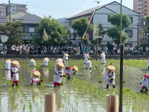 住吉大社(大阪府)
