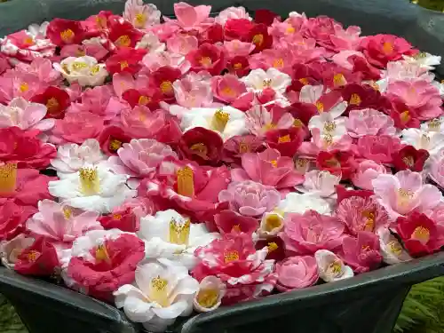 法然院(京都府)