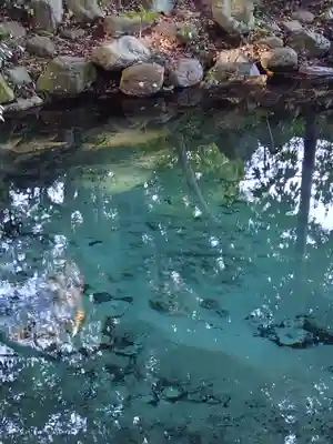泉神社(茨城県)