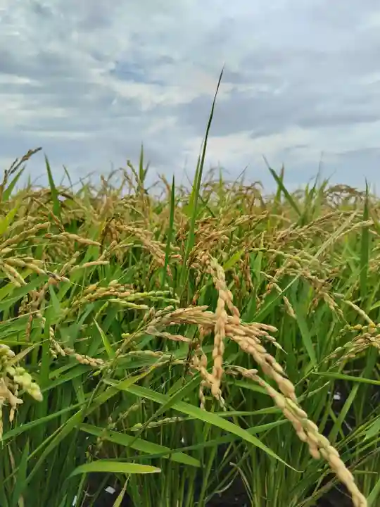 厚別神社(北海道)