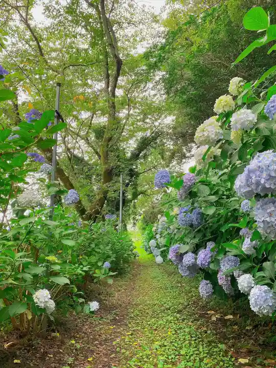 蟻通神社(和歌山県)