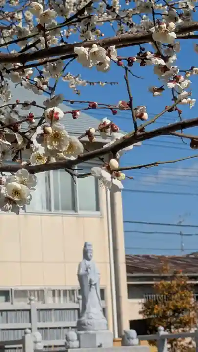大松禅寺(京都府)
