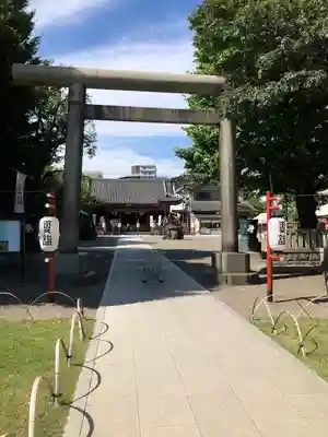 浅草神社の鳥居