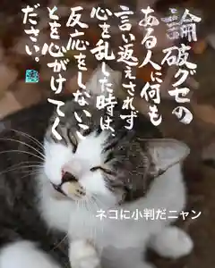 専念寺(大阪府)(2022年09月29日(木) 19時46分59秒投稿)