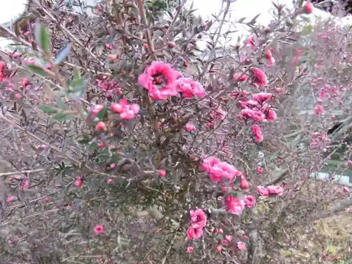 法華寺の自然