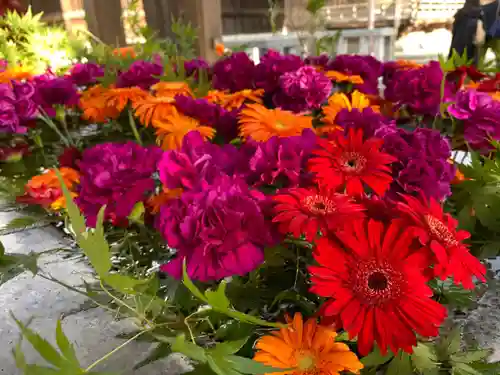 宮地嶽神社の手水舎