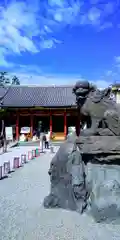 浅草神社の狛犬