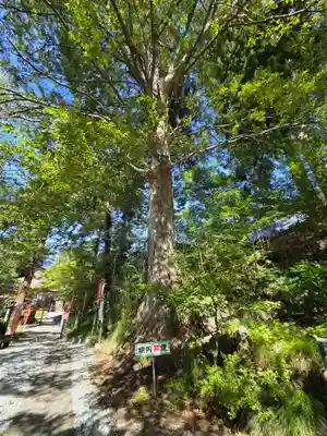若松寺(山形県)
