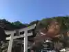 夫婦木神社姫の宮の鳥居