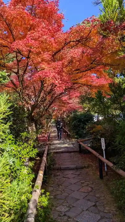 光悦寺(京都府)