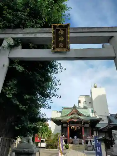 柏神社の鳥居