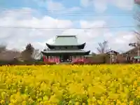 黄檗宗西願寺(静岡県)