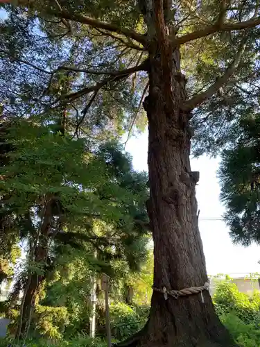 花巻神社の自然