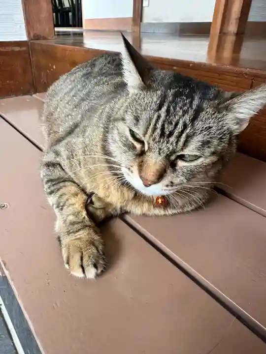 康泰寺(静岡県)