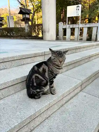 武田神社(山梨県)