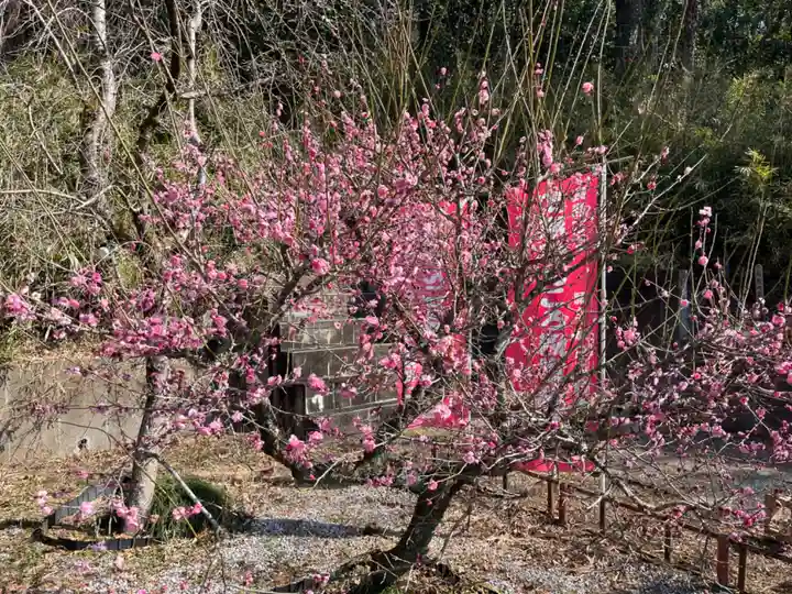當選寺(埼玉県)