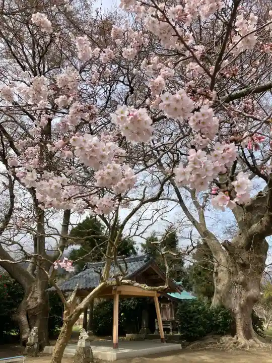 櫻井神社(新潟県)