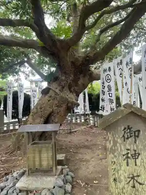 龍口明神社の{uncategorized: "未分類", other: "その他", undefined: "問題あり", building: "その他建物", grave: "お墓", sacred_gate: "鳥居", guardian: "狛犬", statue: "像", buddha: "仏像", history: "歴史", nature: "自然", garden: "庭園", animal: "動物", pagoda: "塔", temizu: "手水舎", mountain_gate: "山門・神門", sanctuary: "本殿・本堂", subordinate: "末社・摂社", art: "芸術", scenery: "景色", jizo: "地蔵", ema: "絵馬", goshuin: "御朱印", omikuji: "おみくじ", items: "授与品その他", amulet: "お守り", goshuincho: "御朱印帳", eats: "食事", festival: "お祭り", votive_dance: "神楽", shichigosan: "七五三参", wedding: "結婚式", experience: "体験その他", initially: "初詣", around: "周辺", anti_infection: "感染症対策"}