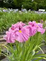 伊佐須美神社(福島県)