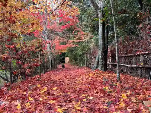 鍬山神社の自然