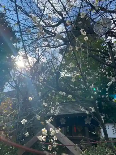 阿佐ヶ谷神明宮の{uncategorized: "未分類", other: "その他", undefined: "問題あり", building: "その他建物", grave: "お墓", sacred_gate: "鳥居", guardian: "狛犬", statue: "像", buddha: "仏像", history: "歴史", nature: "自然", garden: "庭園", animal: "動物", pagoda: "塔", temizu: "手水舎", mountain_gate: "山門・神門", sanctuary: "本殿・本堂", subordinate: "末社・摂社", art: "芸術", scenery: "景色", jizo: "地蔵", ema: "絵馬", goshuin: "御朱印", omikuji: "おみくじ", items: "授与品その他", amulet: "お守り", goshuincho: "御朱印帳", eats: "食事", festival: "お祭り", votive_dance: "神楽", shichigosan: "七五三参", wedding: "結婚式", experience: "体験その他", initially: "初詣", around: "周辺", anti_infection: "感染症対策"}