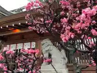 櫛田神社(福岡県)