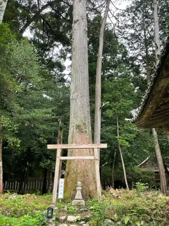 丹生大師 神宮寺(三重県)