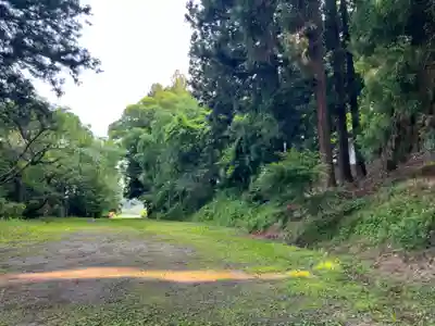 大宮温泉神社(栃木県)