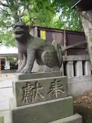 駒込天祖神社の狛犬