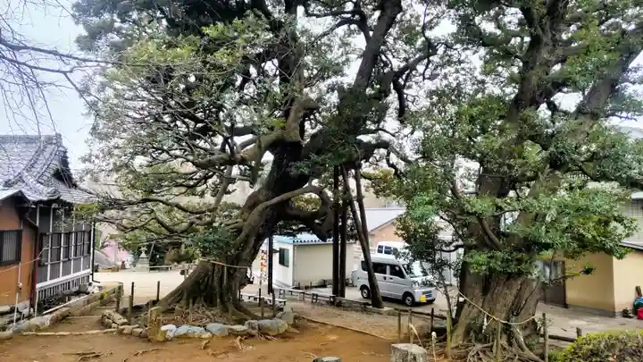 九重神社(埼玉県)